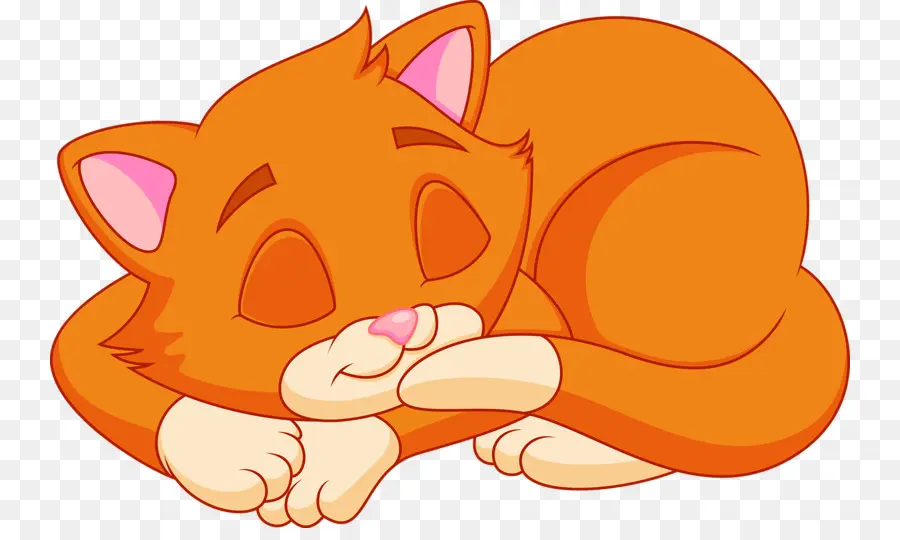 Gato Durmiendo，Gatito PNG