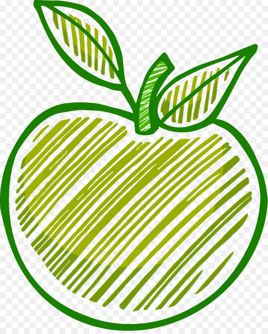 Dibujo De Manzana Verde，Hoja PNG