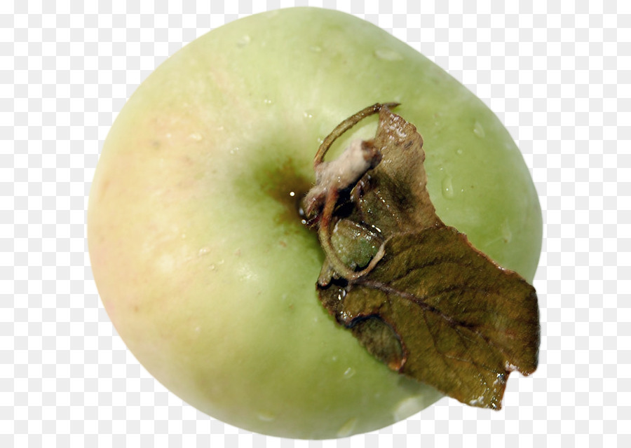 Apple，La Fruta PNG