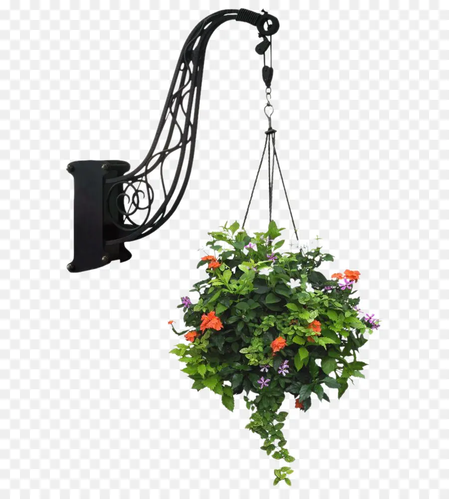 Cesta De Flores Colgante，Percha PNG