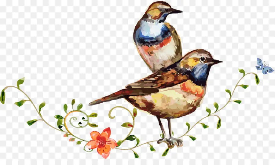 Pájaro，Acuarela De Flores PNG