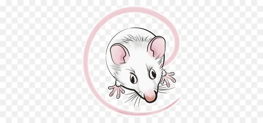 Ratón Blanco，Lindo PNG