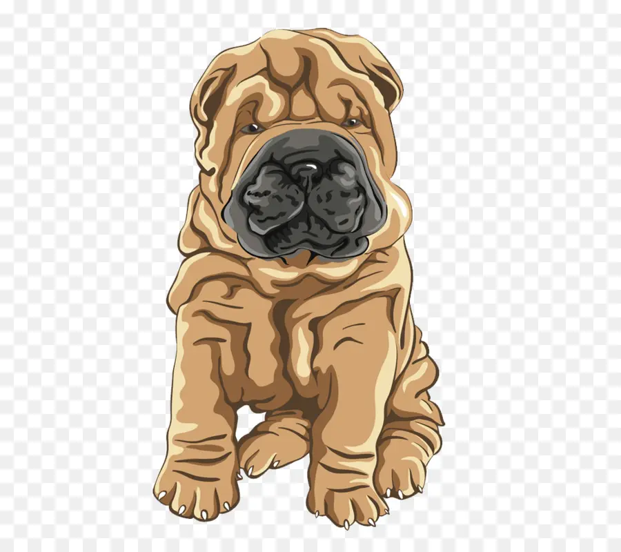 Shar Pei，Yorkshire Terrier PNG