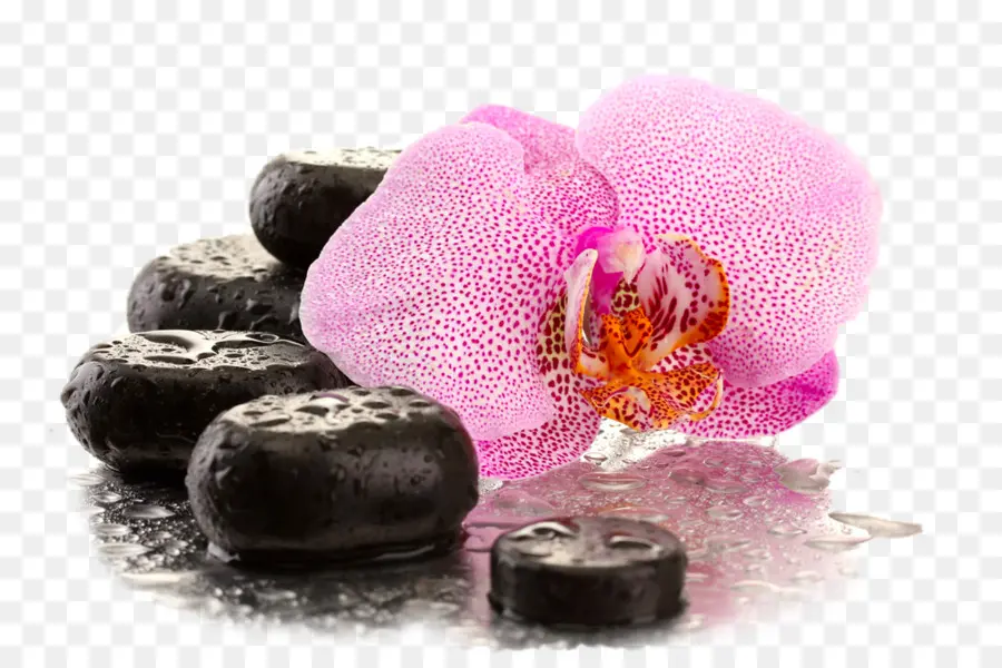 Orquídea Rosa Y Piedras Negras，Spa PNG