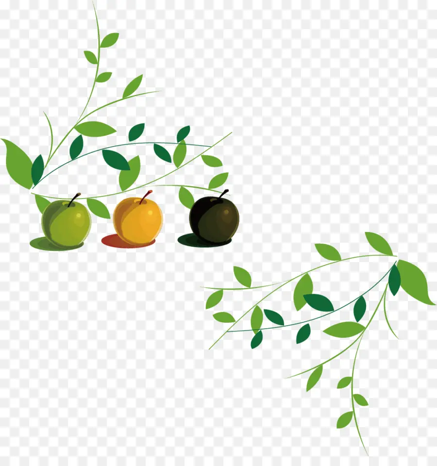 Manzanas，Hojas PNG