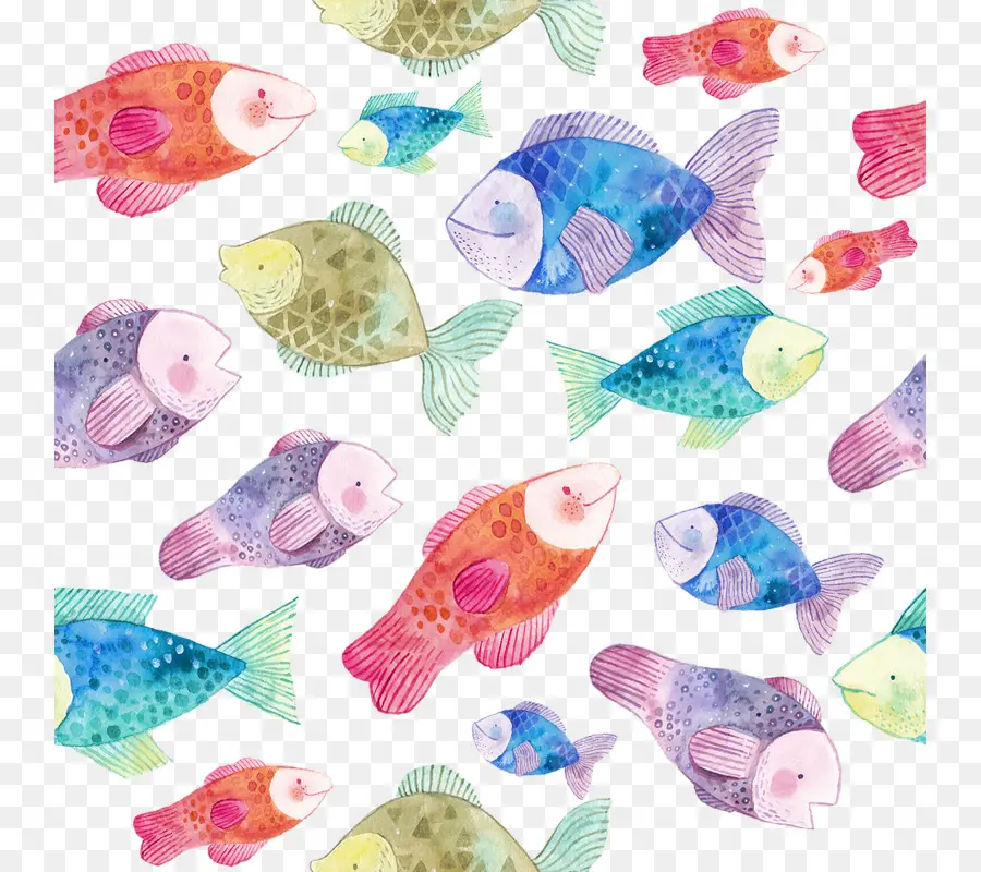 Dibujo，Los Peces PNG