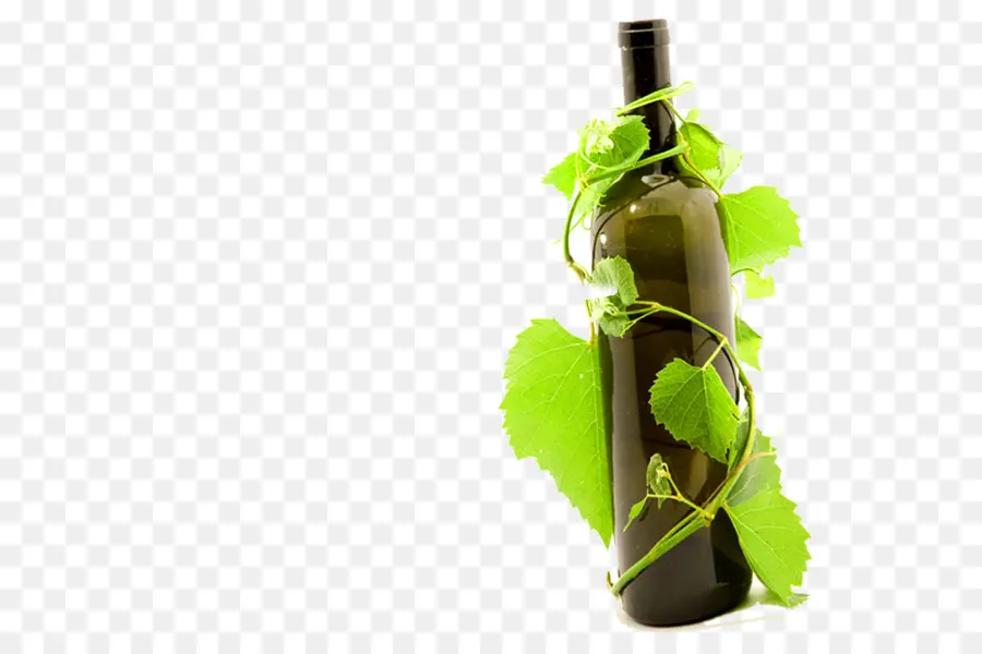 Vino Tinto，Vino PNG