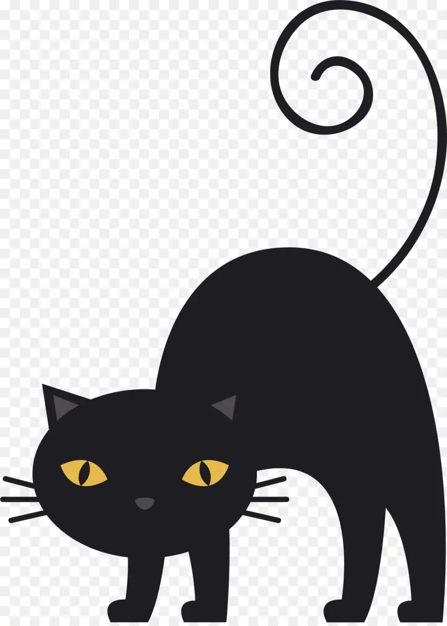 Gato Negro，Gato PNG