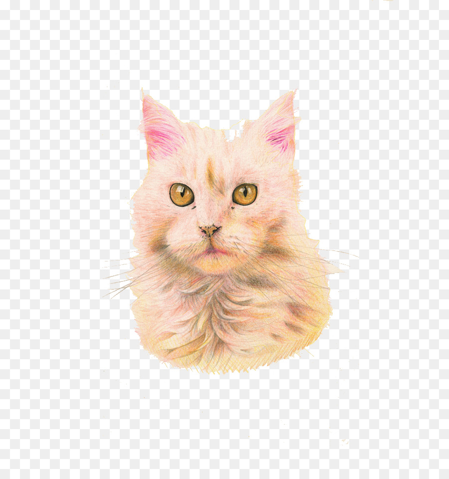 Maine Coon，Bigotes PNG