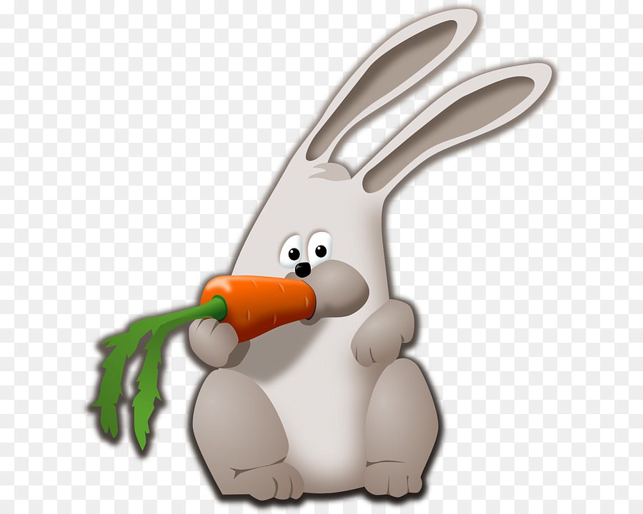 Conejo De Pascua，Lepóridos PNG