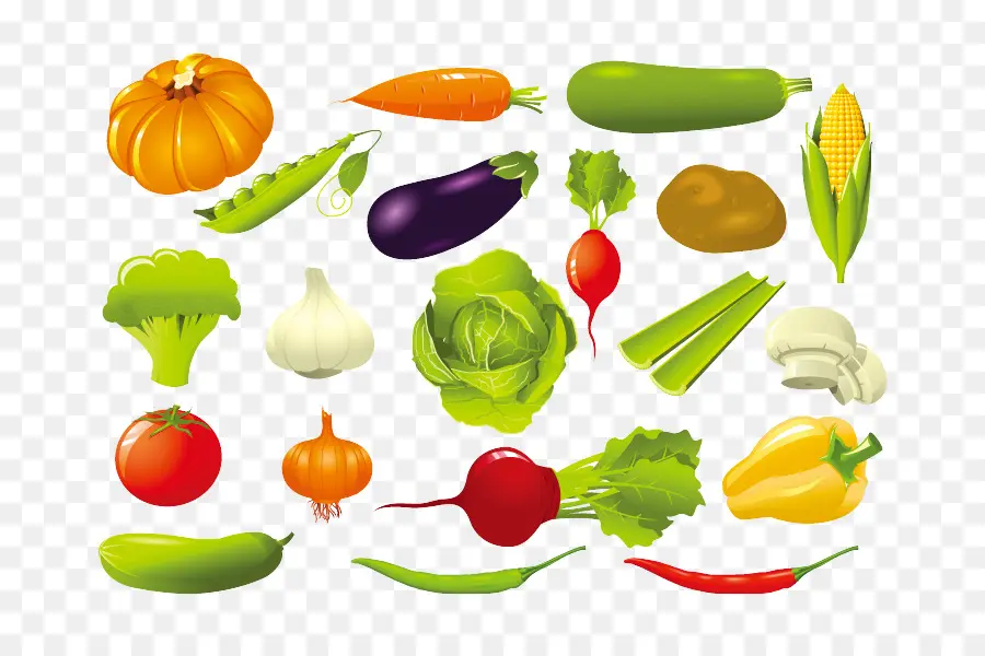 Vegetal，Royaltyfree PNG