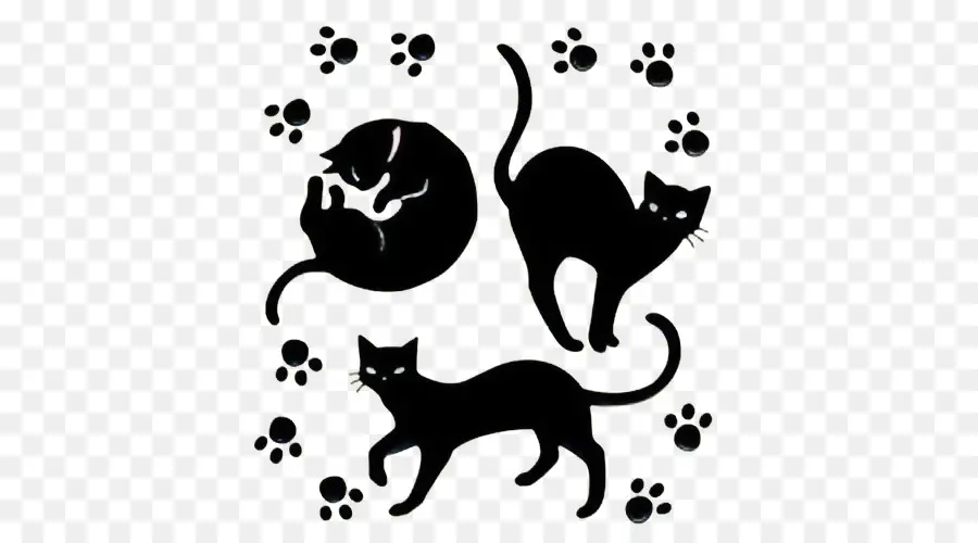 Gatos Negros，Gatos PNG