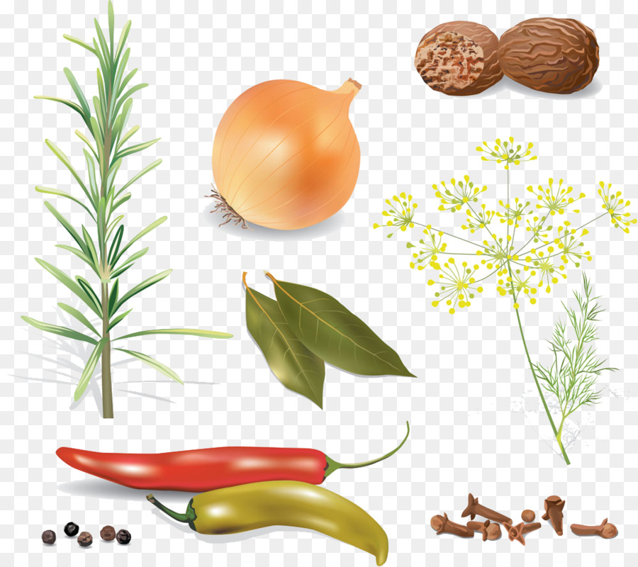 Especias，Hierba PNG