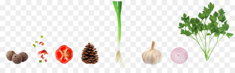 Vegetal，El Ajo PNG