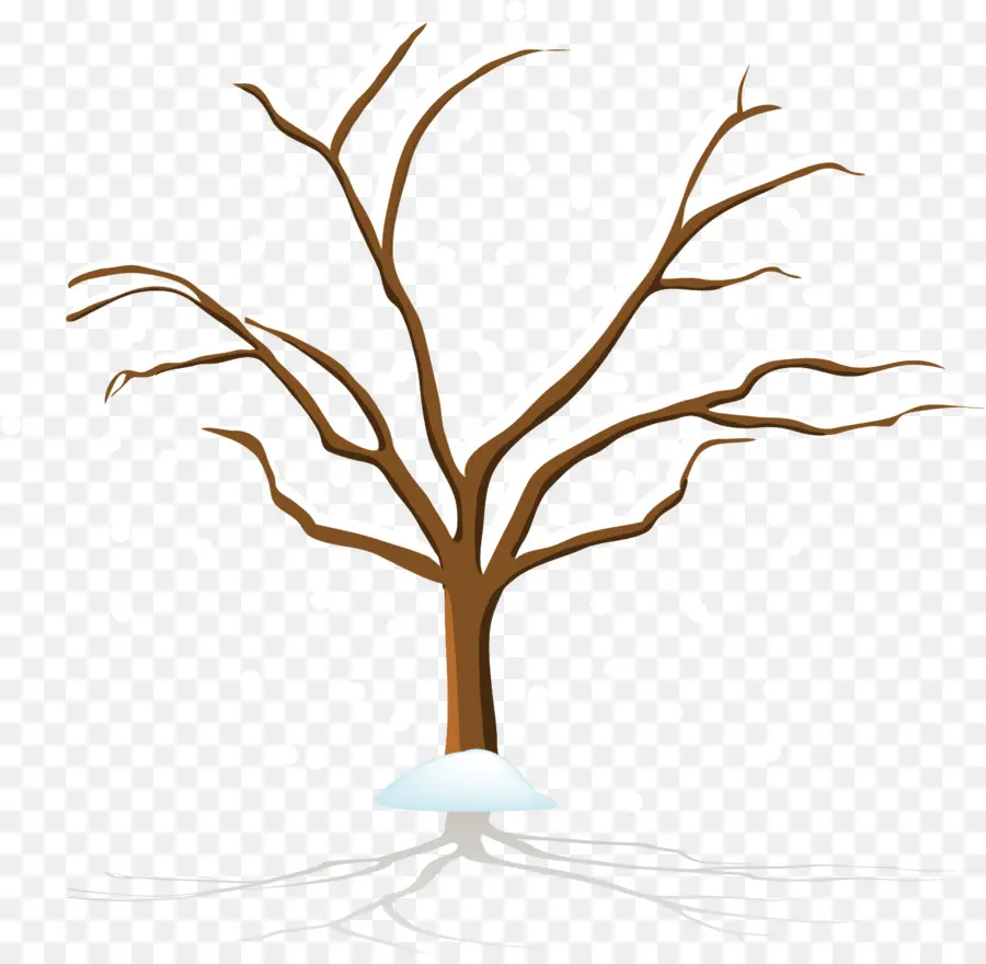 árbol Desnudo，Sucursales PNG