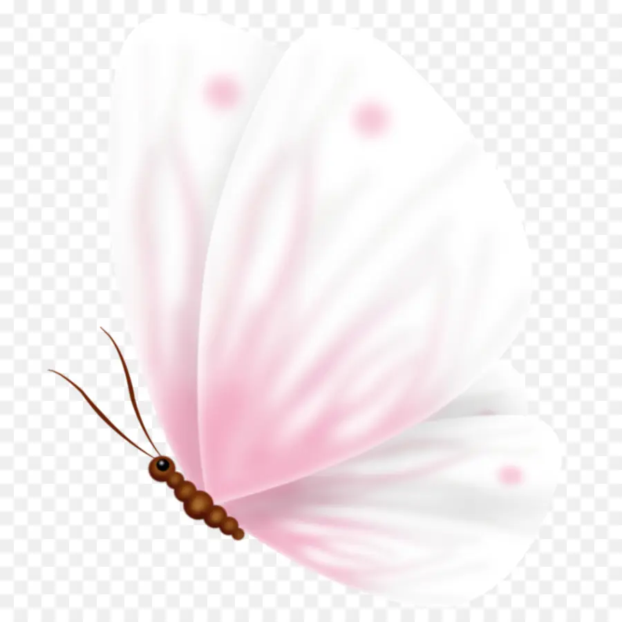 Mariposa，Póster PNG