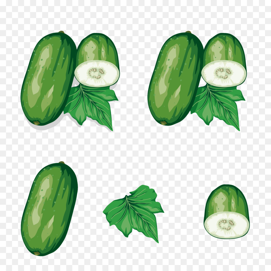 Pepino，Rebanado PNG