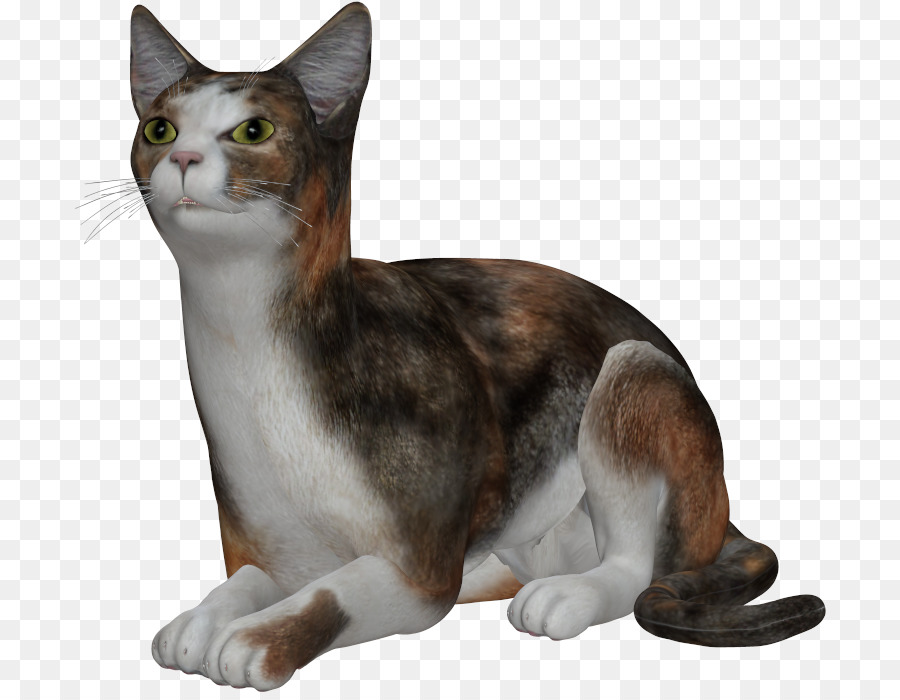 Gato Gris，Mascota PNG