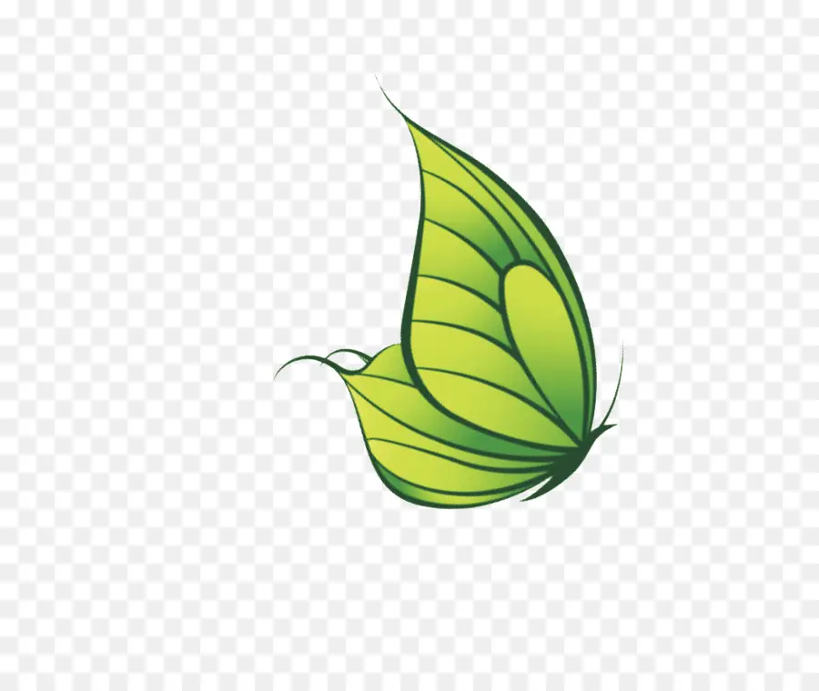 Verde，Mariposa PNG