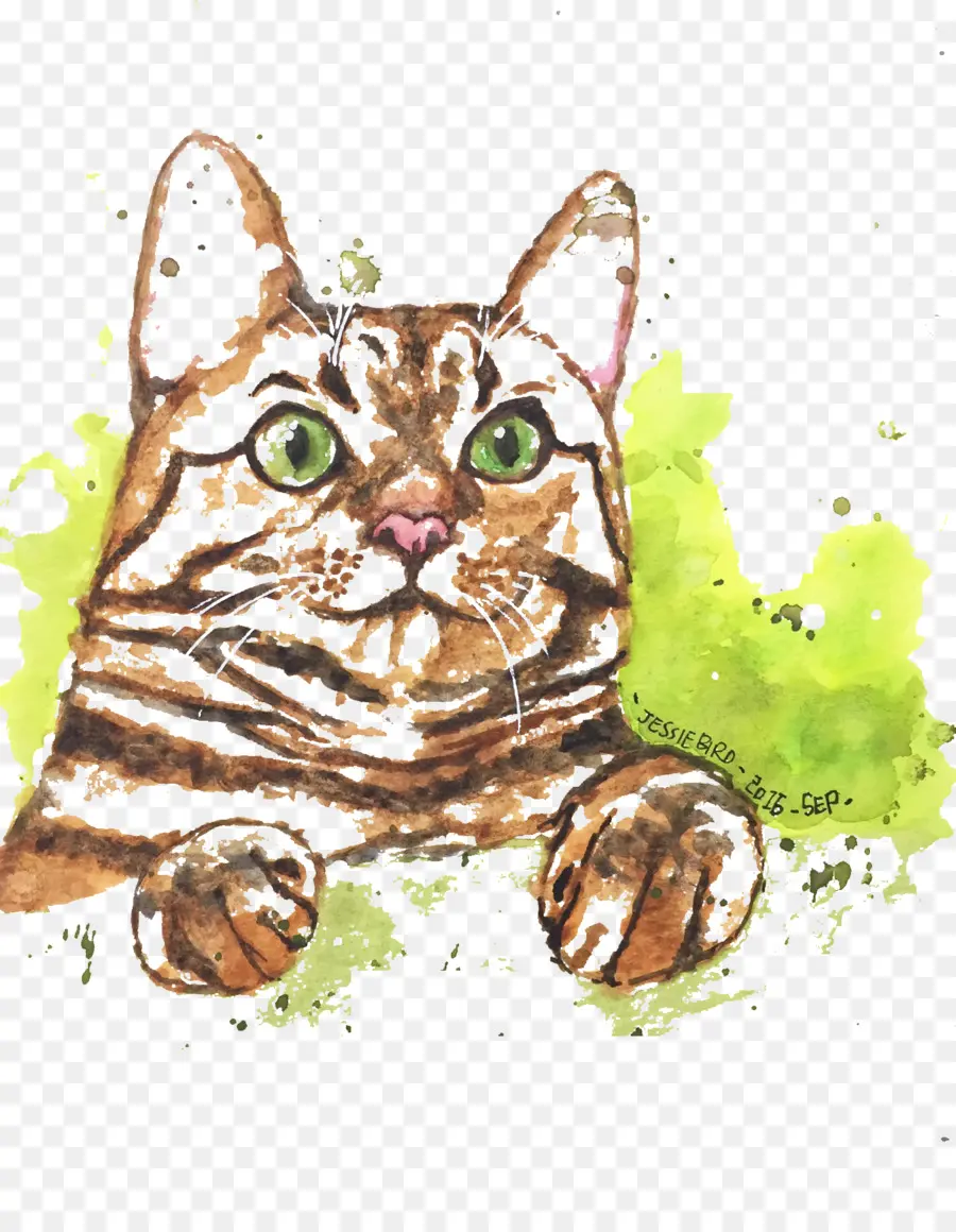 Gato Acuarela，Gato PNG