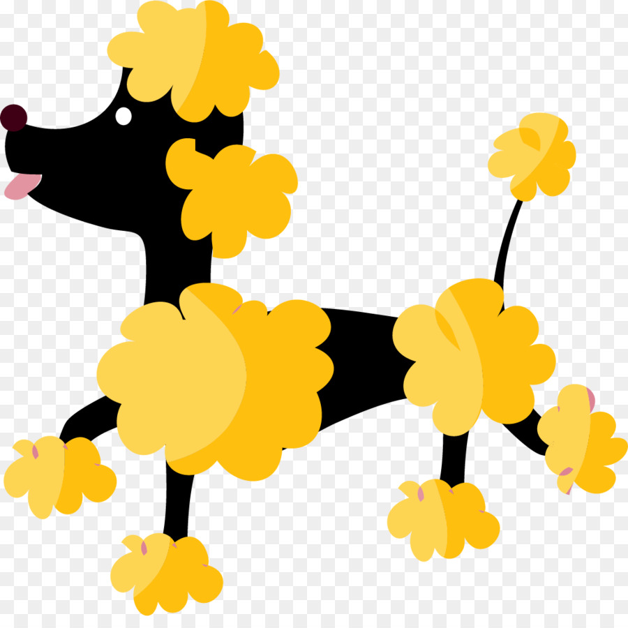 Caniche，Perro PNG