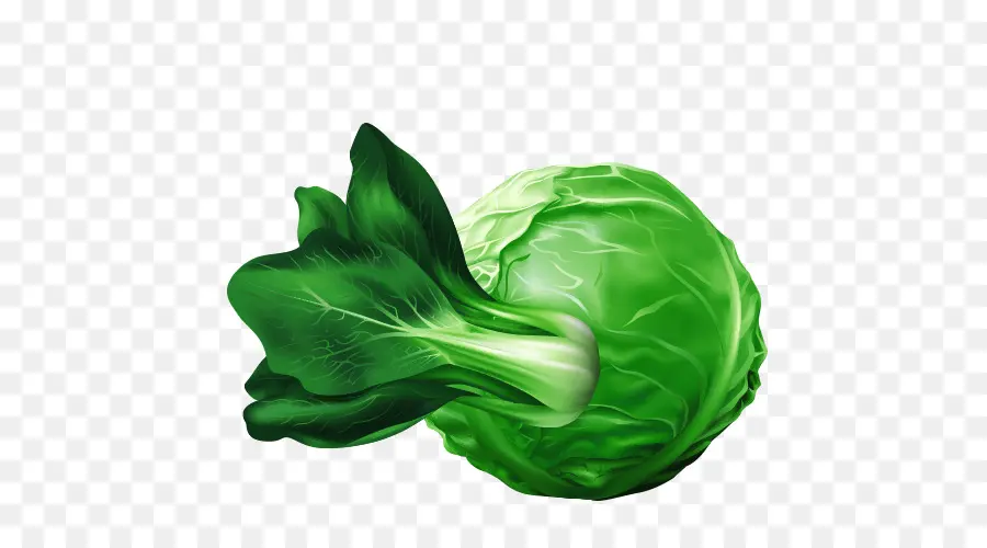 Vegetal，De Dibujos Animados PNG