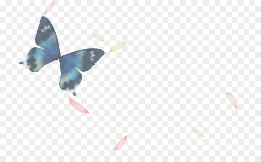 Mariposa，Pintura A La Acuarela PNG