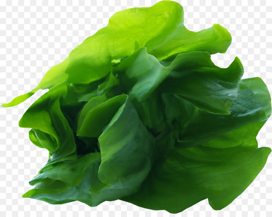 Alga，Verde PNG