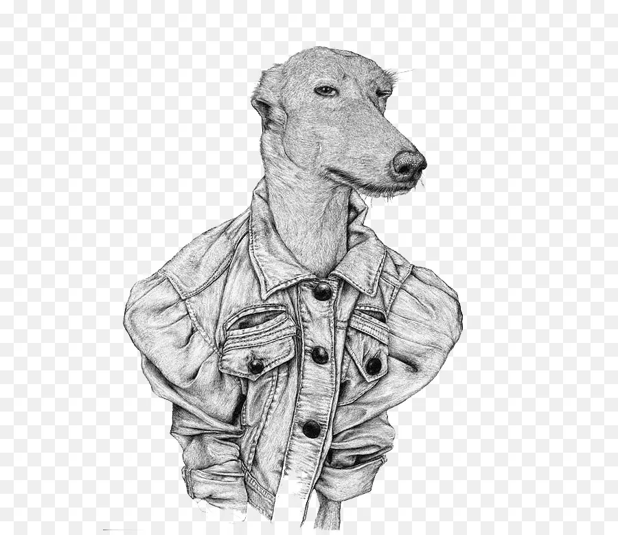 Perro Con Chaqueta，Ropa PNG