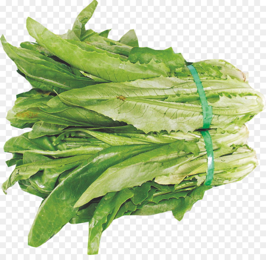 Celtuce，Lechuga Romana PNG