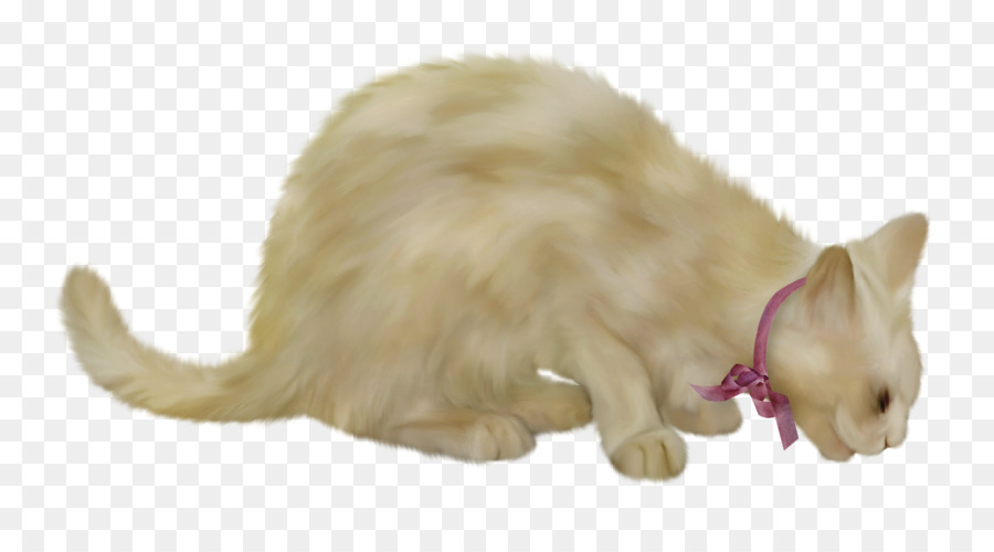 Bigotes，Gato PNG