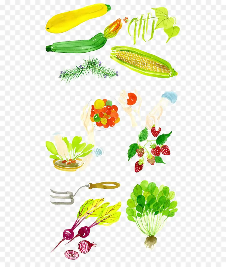 Verduras，Maíz PNG