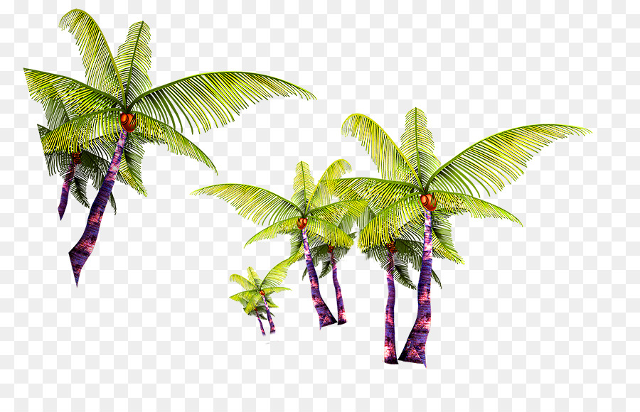 Coco，árbol PNG