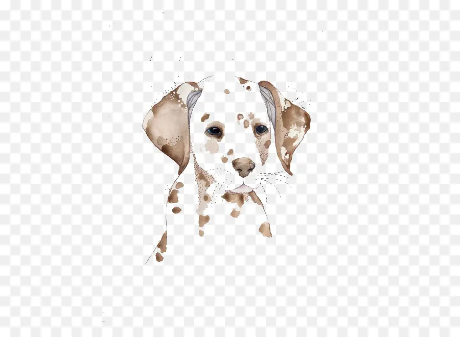 Perro Dálmata，Pintura A La Acuarela PNG