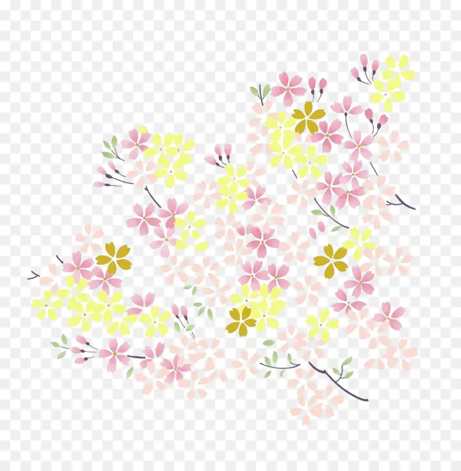 Flores Coloridas，Florecer PNG