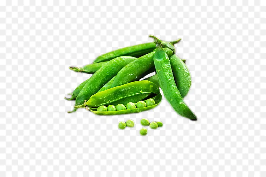 Guisantes，Edamame PNG