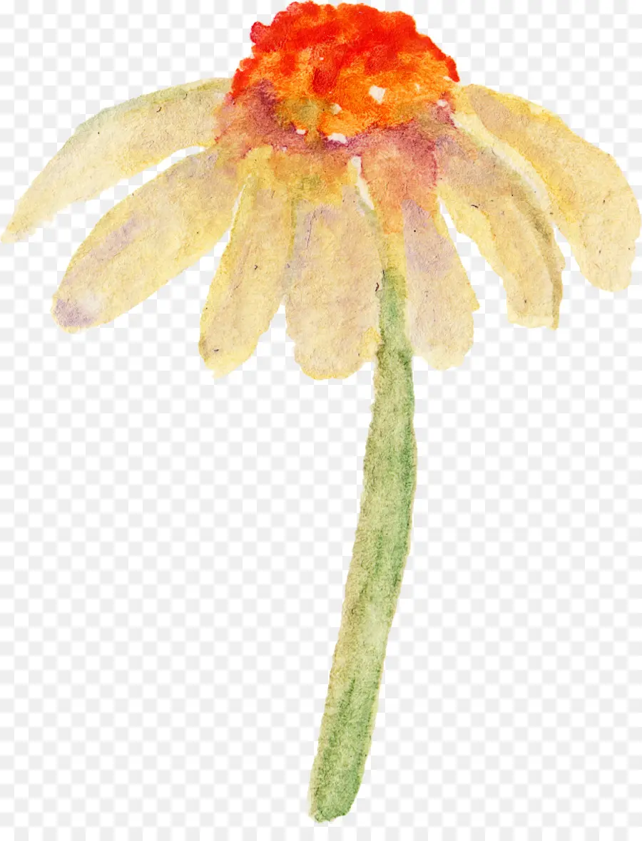 Pintura A La Acuarela，Flor PNG