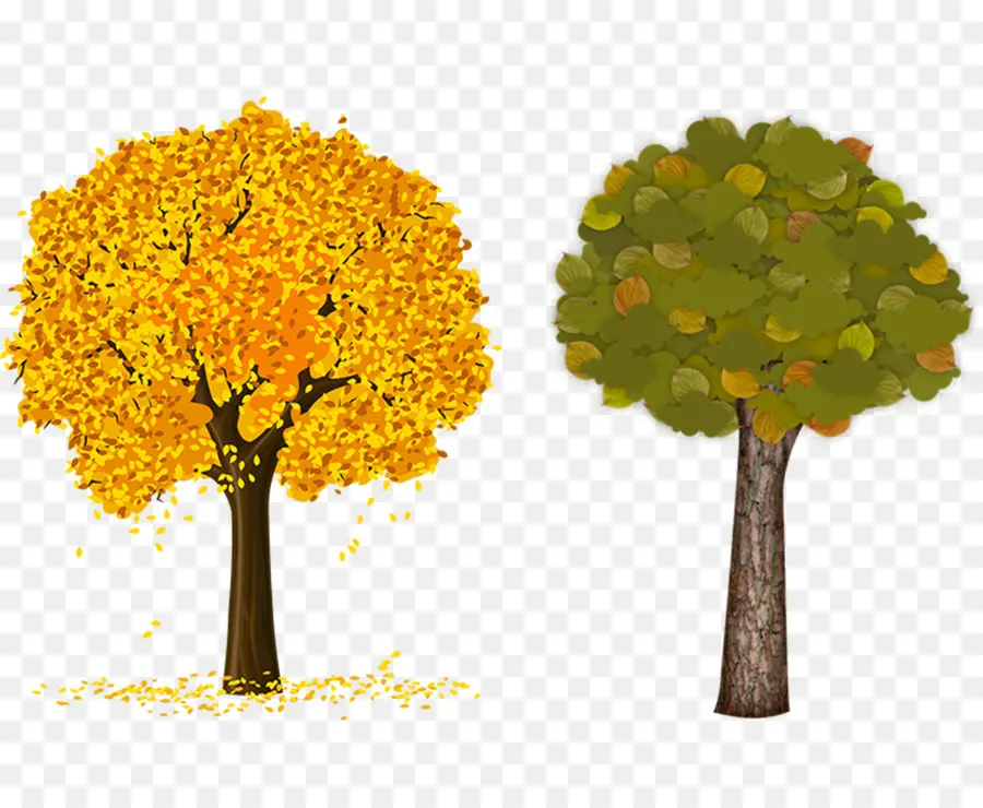 árboles De Otoño，Hojas PNG