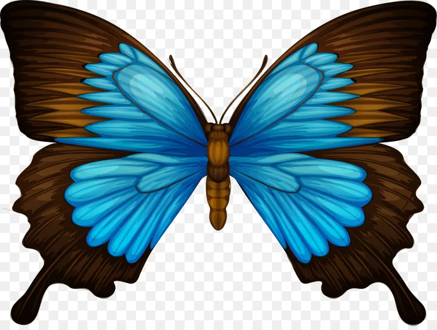 Papilio Ulysses，Mariposa PNG