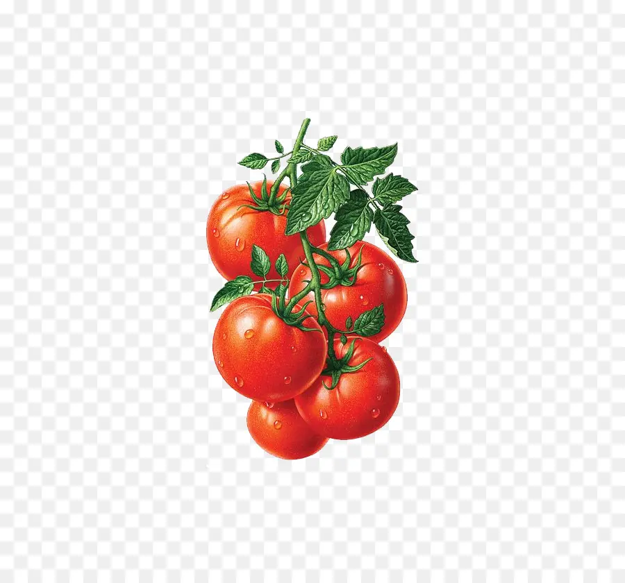 Tomates，Fruta PNG