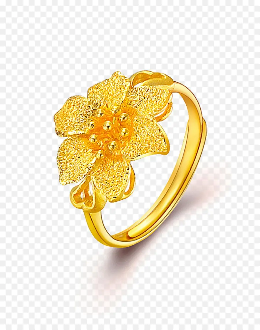 Pendiente，Anillo PNG