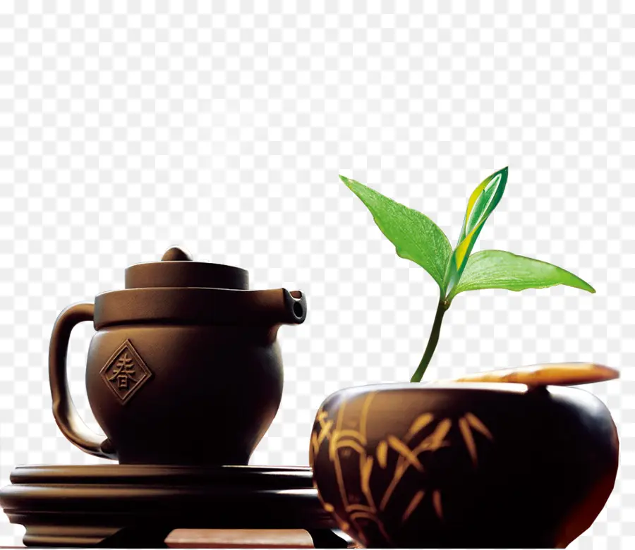 Tetera Y Planta，Planta PNG