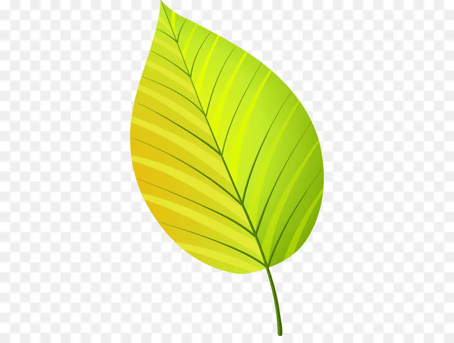 Verde，Hoja PNG