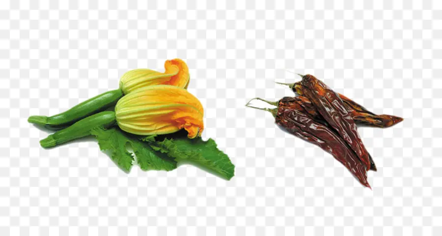 Verduras，Flor De Calabaza PNG