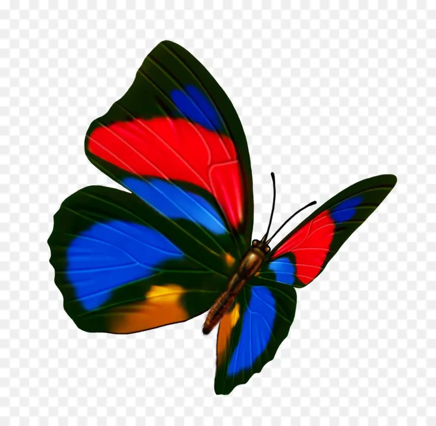 Mariposa，La Transparencia Y Translucidez PNG