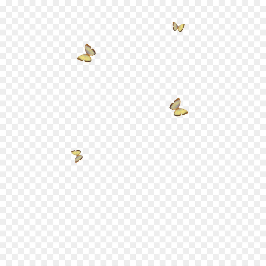 Mariposas，Vuelo PNG