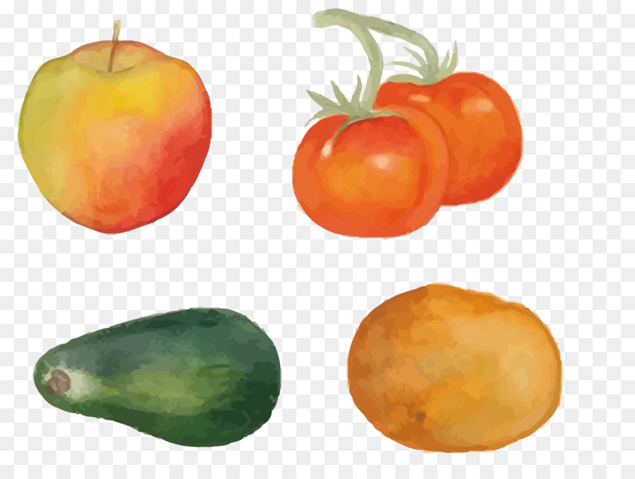 Verduras，Tomate PNG