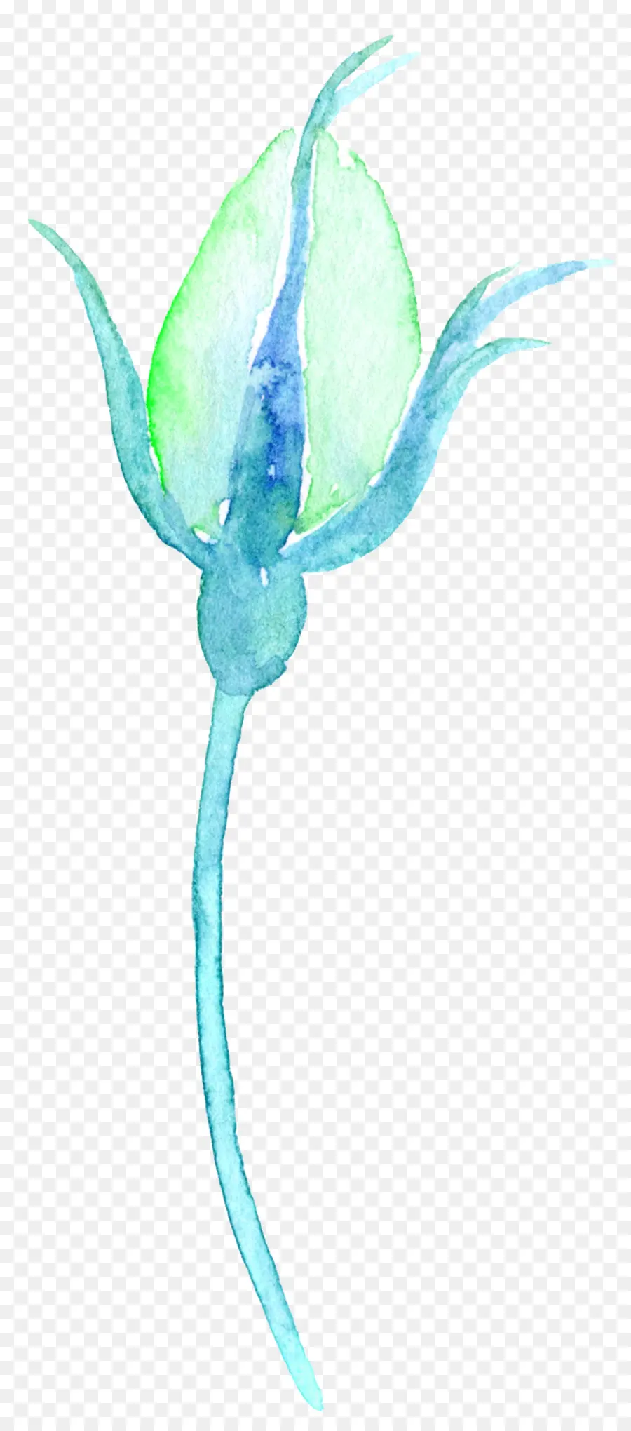 Flor Azul，Flor PNG