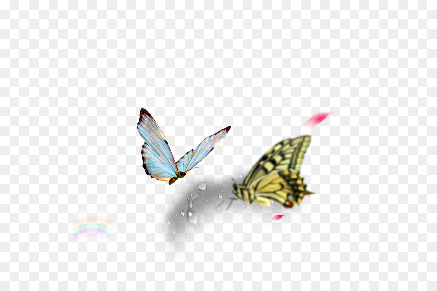 Mariposas，Vuelo PNG