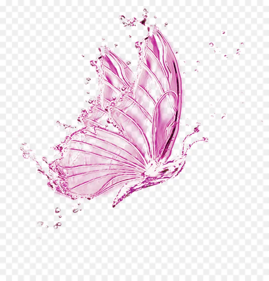 Mariposa De Agua，Chapoteo PNG